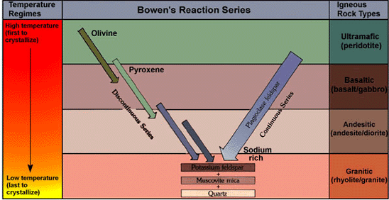 Bowens Reaction Series