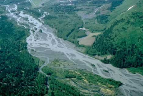 Braided Stream