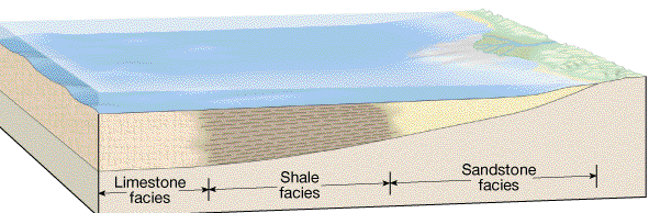 Depiction of the near shore marine environment