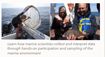 Marine-science image