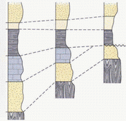 Example of Lithostratigraphic correlation